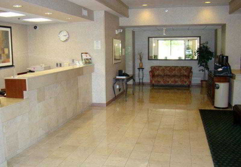 Courtyard Brandon Hotel Tampa